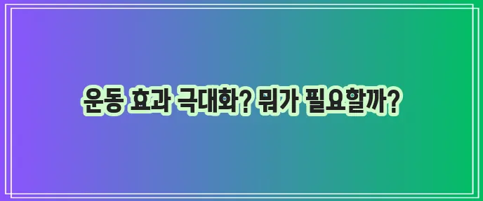 운동기구 종류 꼼꼼하게 알아볼까요