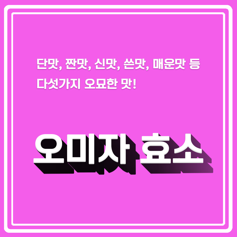  피곤할 때 오미자 효소 한 잔! 오미자의 효능은? 오미자 효소 만드는 방법은? 그리고 오미자 섭취시 부작용은?