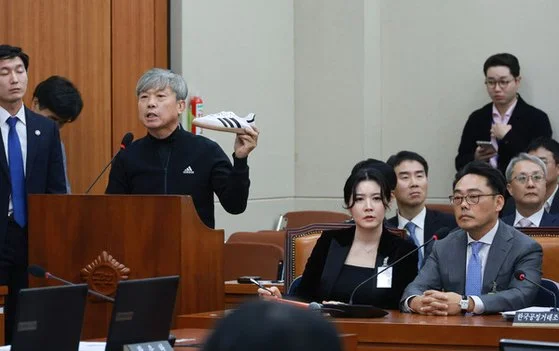아디다스 국정감사