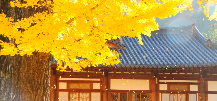 천년 이미지