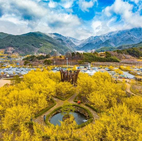 구례산수유축제-산수유명소&lt;출처:한국관광공사&gt;