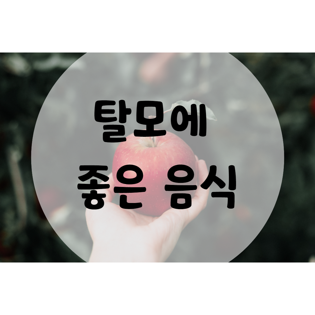  탈모에 좋은 음식 10가지
