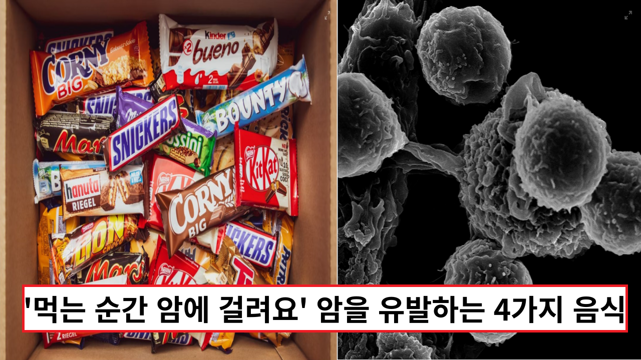  '먹는 순간 암에 걸려요' 암을 유발하는 4가지 음식