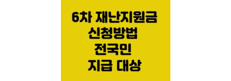 6차재난지원금