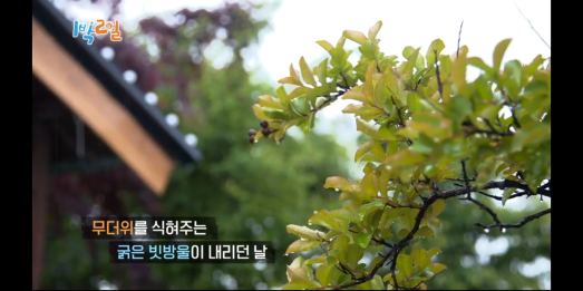  27. 1박2일 시즌4 당일퇴근특집(완도 & 안산)