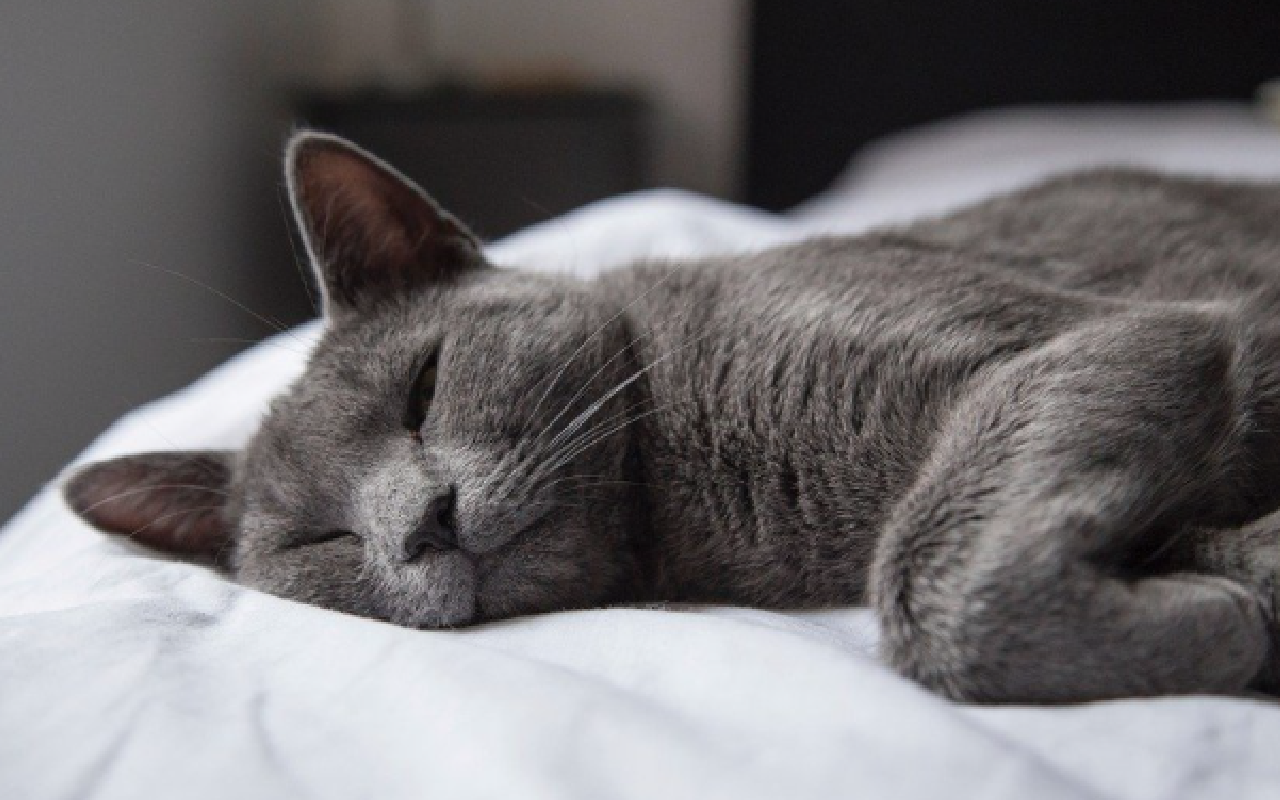  [굿밤 뮤직]"Ooh-ooh-ooh-ooh-ooh" 굿나잇!