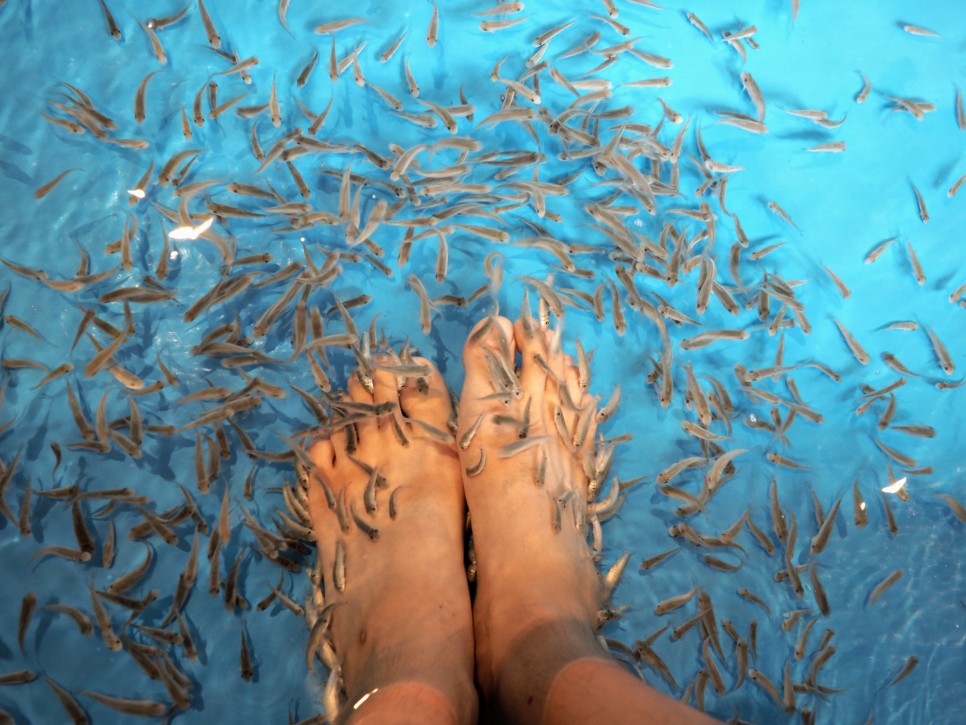 부니가 생각나네요 일본 온천여행에 찬바람이 18