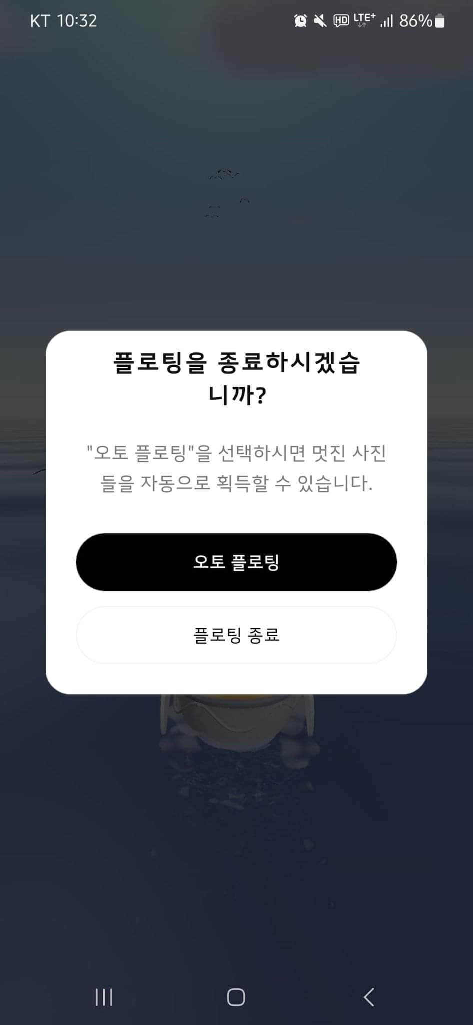 본디 플로팅