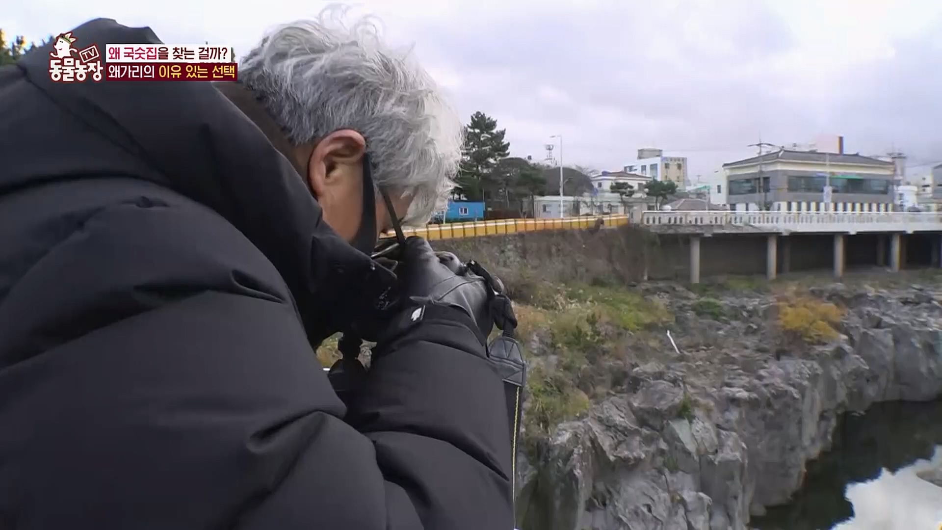 TV 동물농장.E1103.230108p.H264-F1RST.mp4_20230108_174637.575.jpg