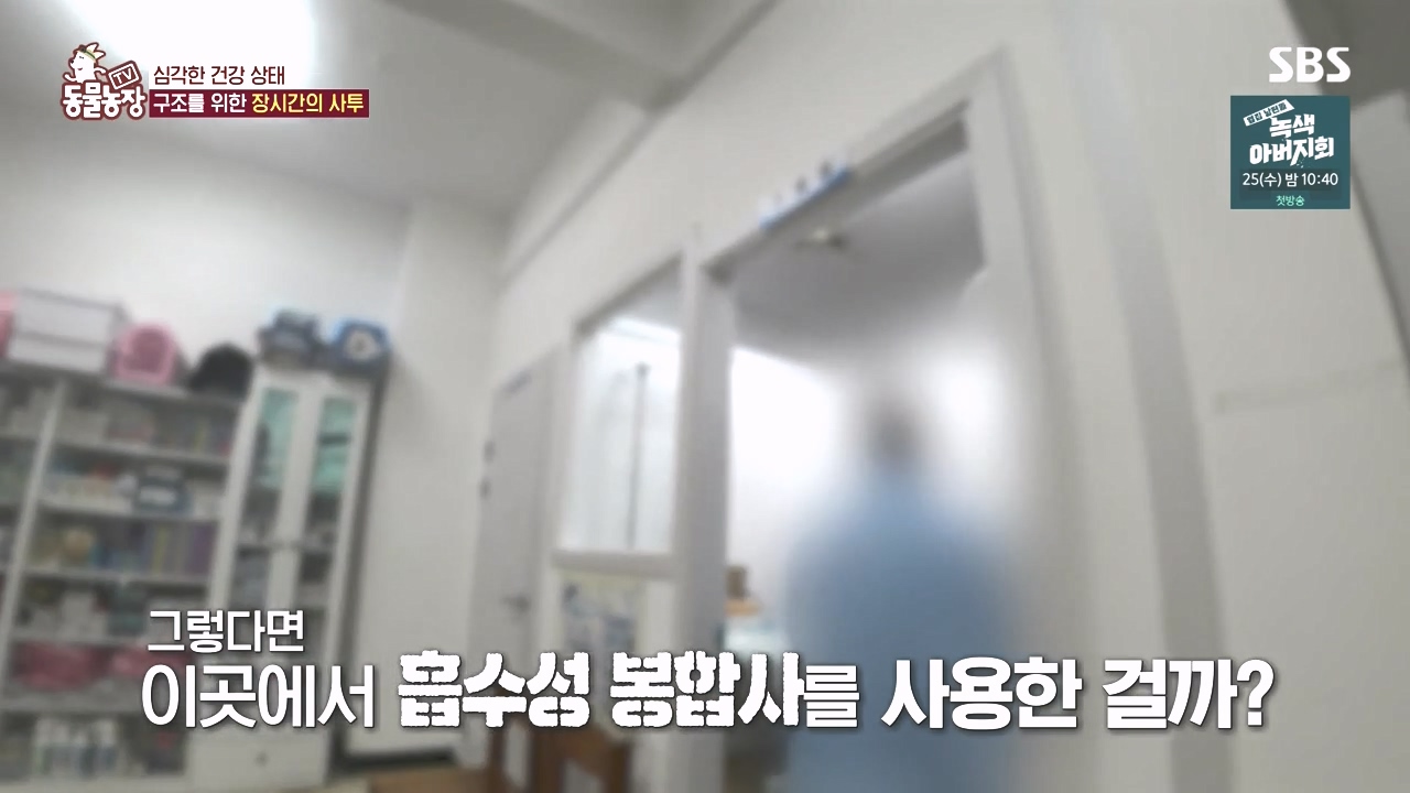 TV 동물농장.E1142.231023p-NEXT.mp4_20231022_173001.232.jpg