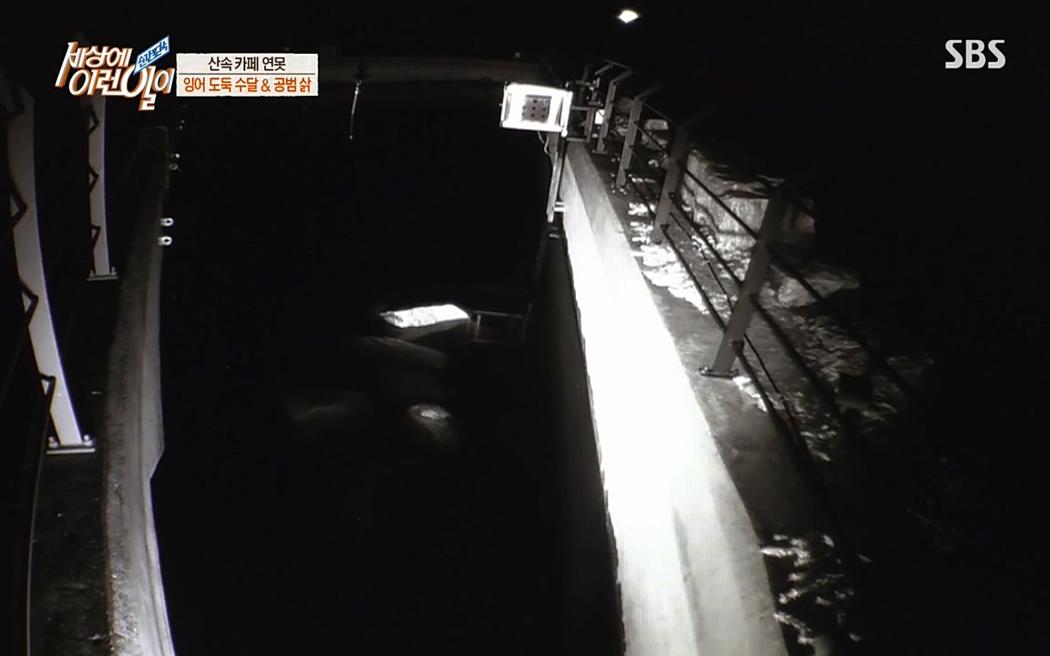 순간포착 세상에 이런일이.E1175.220413p-NEXT.mp4_20220413_175832.526.jpg