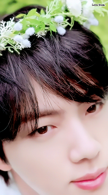 img.gif