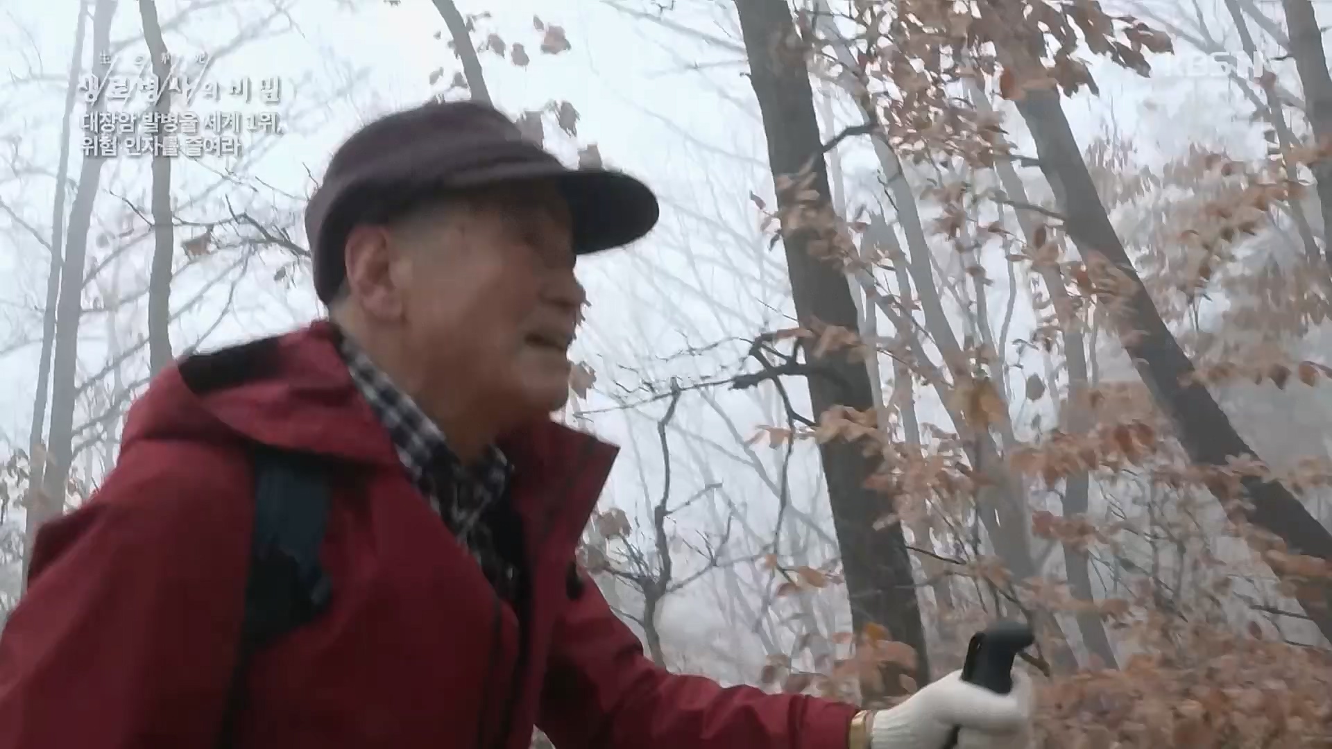 생로병사의 비밀.E858.230301p.H264-F1RST.mp4_20230302_195720.153.jpg