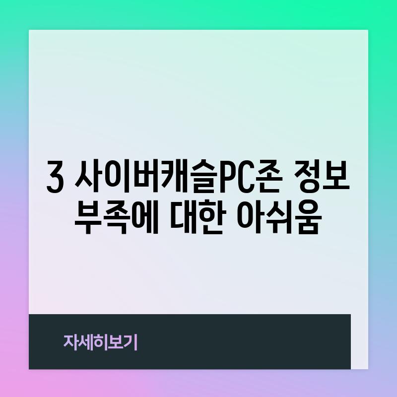 3. 사이버캐슬PC존: 정보 부족에 대한 아쉬움