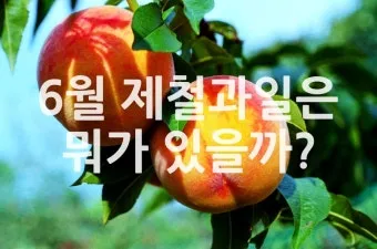 6월 제철 과일 추천 여름 과일 종류_10