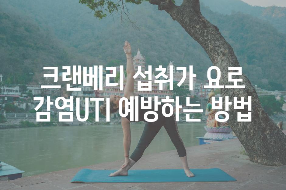 크랜베리 섭취가 요로 감염UTI 예방하는 방법