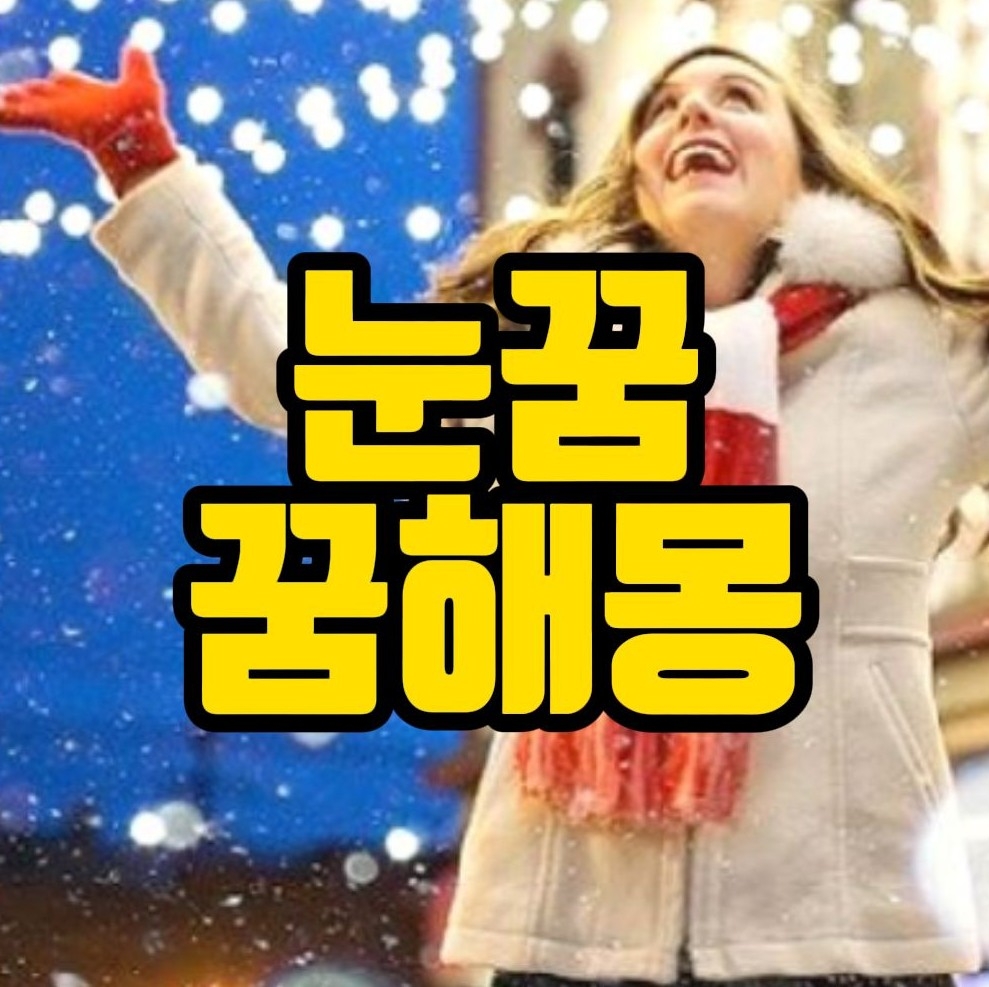  [꿈해몽]눈내리는꿈, 눈사태꿈, 진눈깨비꿈, 눈맞는꿈 관련 꿈풀이 35선