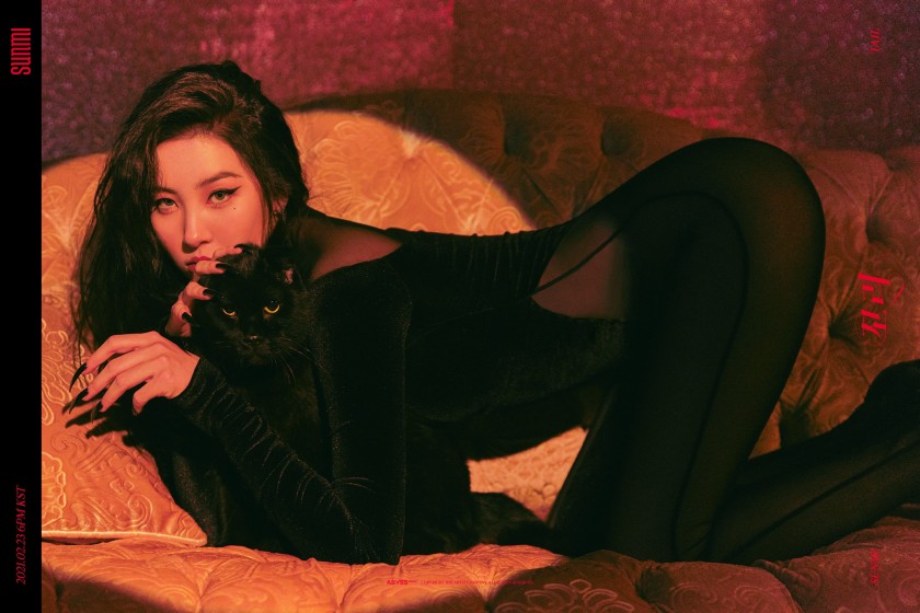  선미 꼬리 앨범 컨셉포토 씨스루 패션