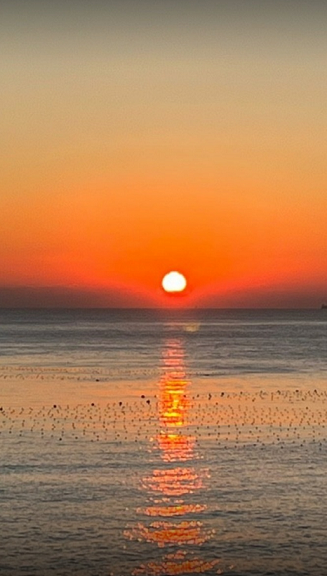 인간이 신이라는 증거