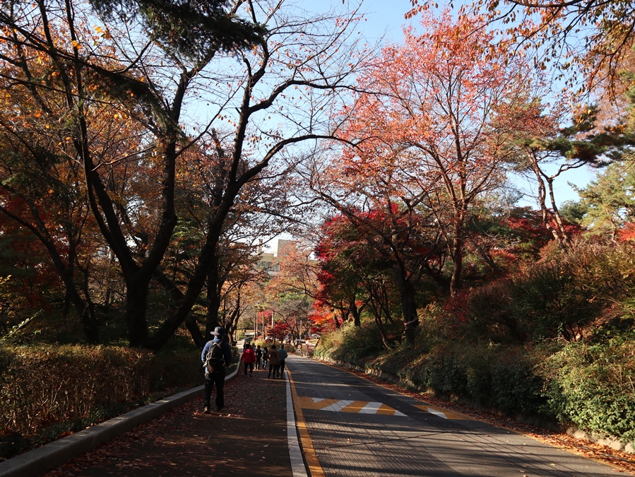 남측순환로_02
