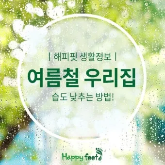 여름철 습도 관리 완벽 가이드 건강한 실내 환경_16
