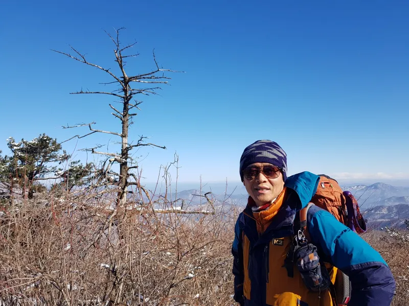 강원도 태백산 주목나무