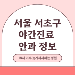 서울 서초구 야간진료 안과 병원 (18시 이후 늦게까지하는 병원)