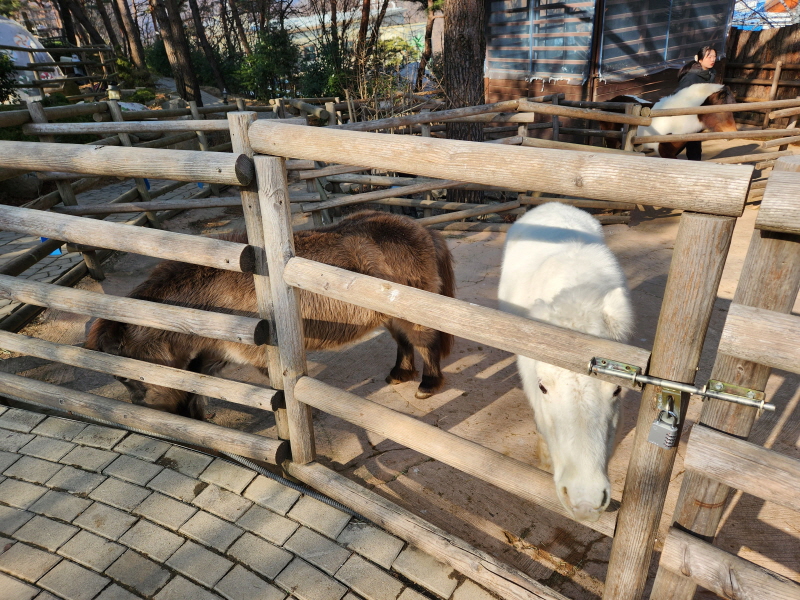 대구 네이처파크
