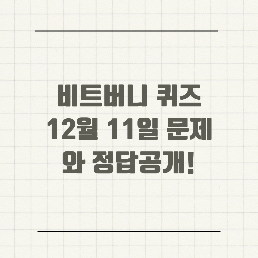 비트버니 퀴즈 12월 11일 문제와 정답공개!
