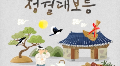 강원도 정월대보름 축제 국토정중앙 달맞이축제