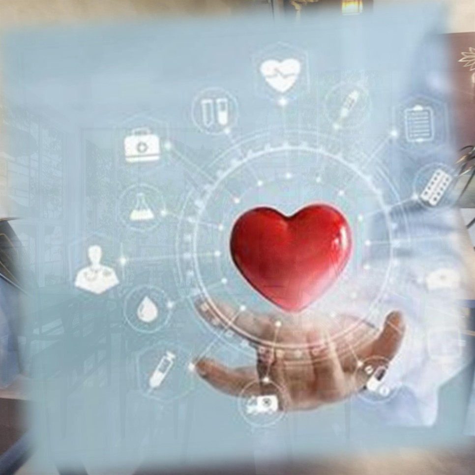 삼백초추출물관련 10