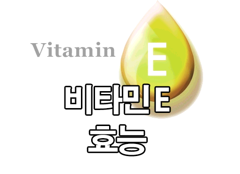  비타민 E 효능 : 많이 함유된 음식, D/DL 표시