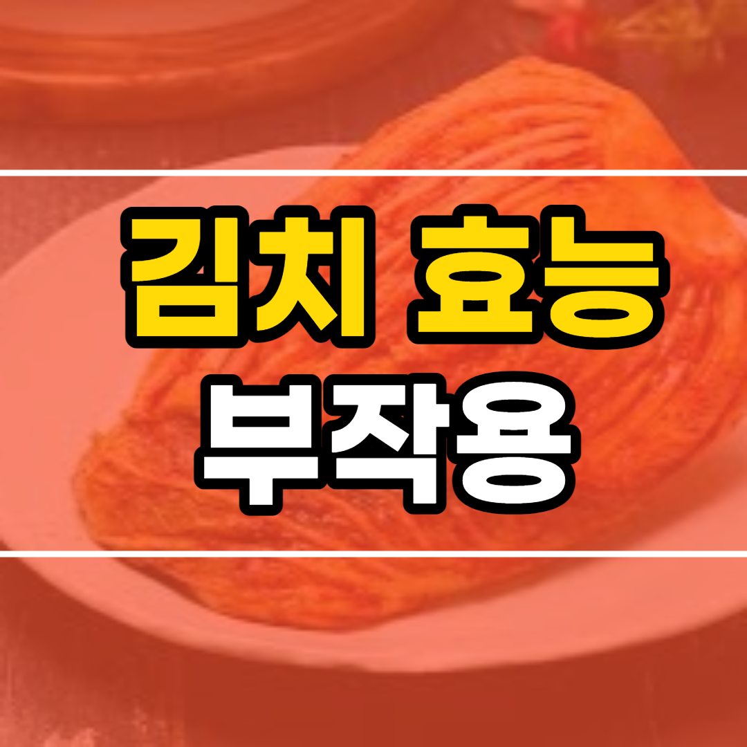  김치 효능 10가지 및 부작용. 김치의 역사