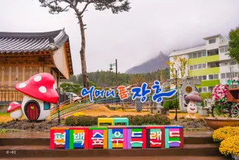 장흥 가볼만한곳 베스트10 현지인 추천 필수코스_24