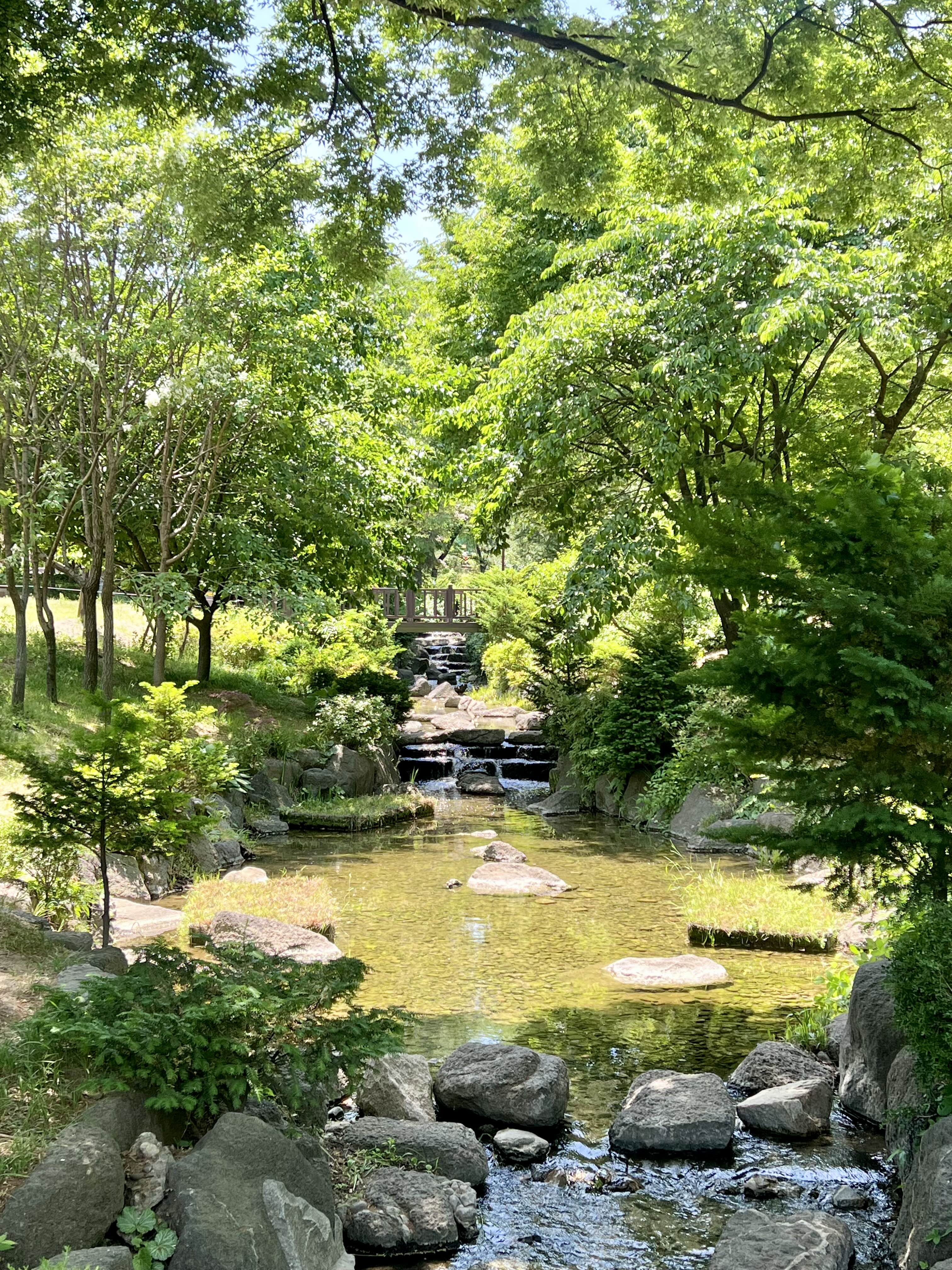 장충단 공원 여름 서울 공원