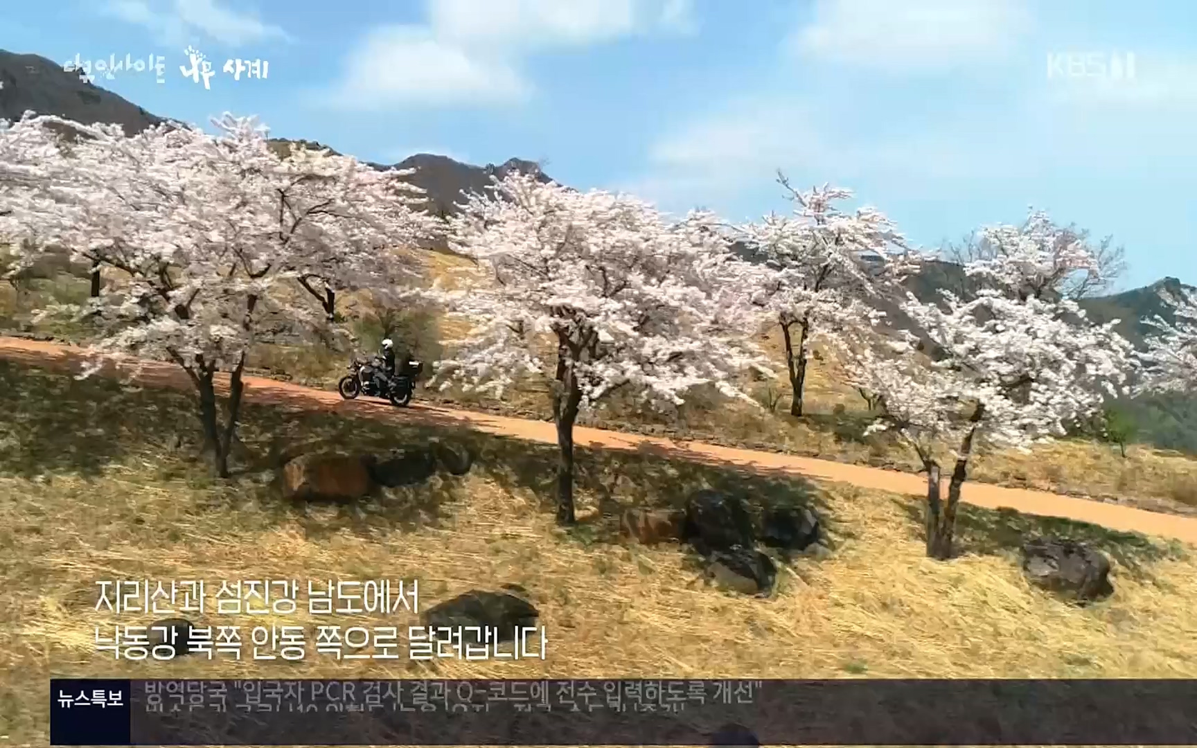 다큐 인사이트.E124.220908p.H264-F1RST.mp4_20220912_143729.268.jpg