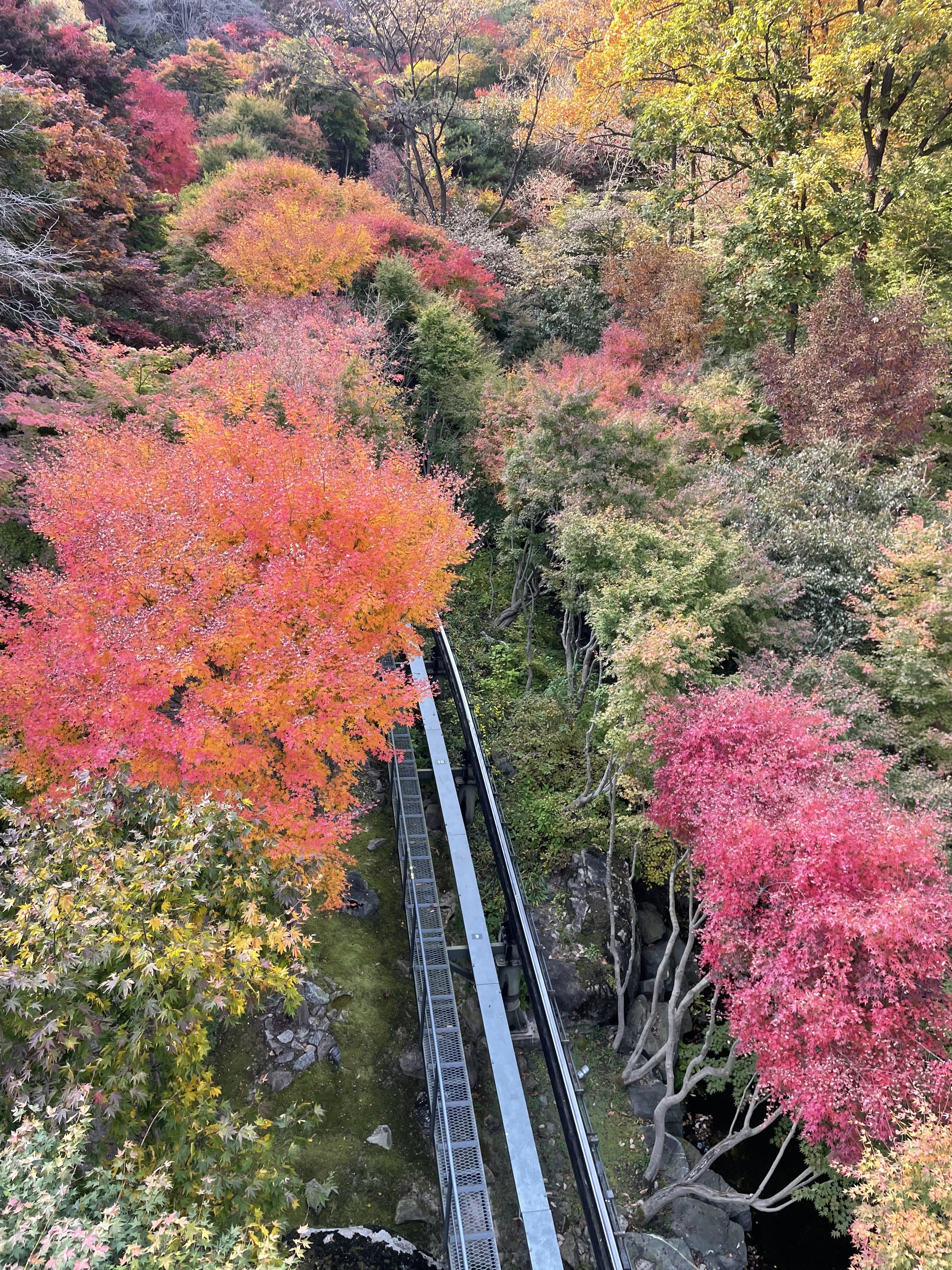 화담숲모습