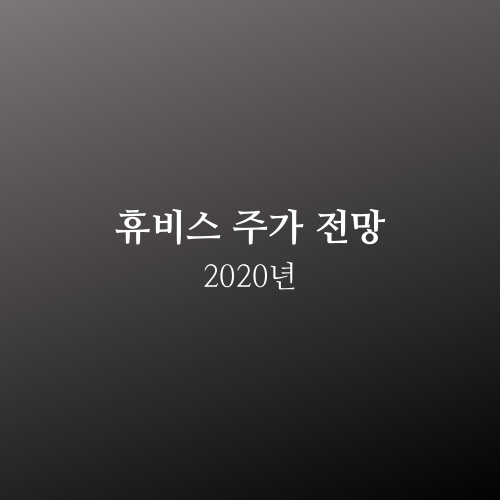  휴비스 주가 2020년 전망