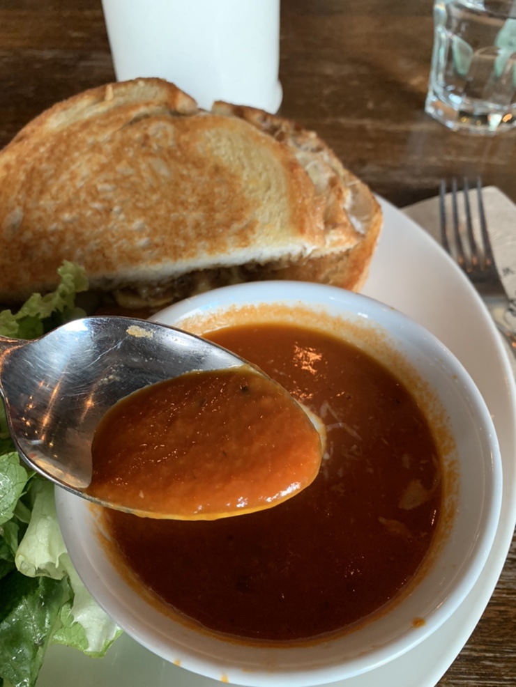 판정. 피라맥스 복용 결과 정리.. 코로나 36일, 그리고 음성 7