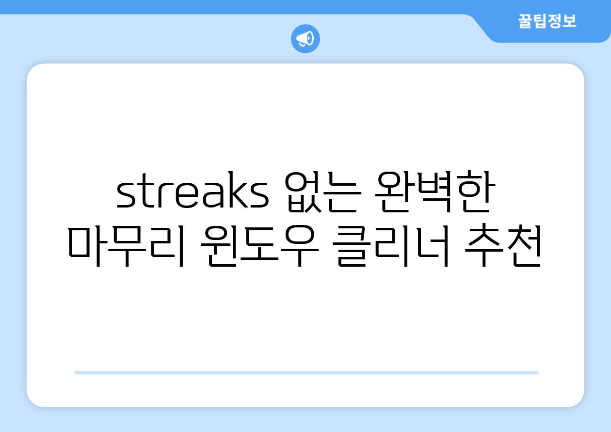 streaks 없는 완벽한 마무리 윈도우 클리너 추천