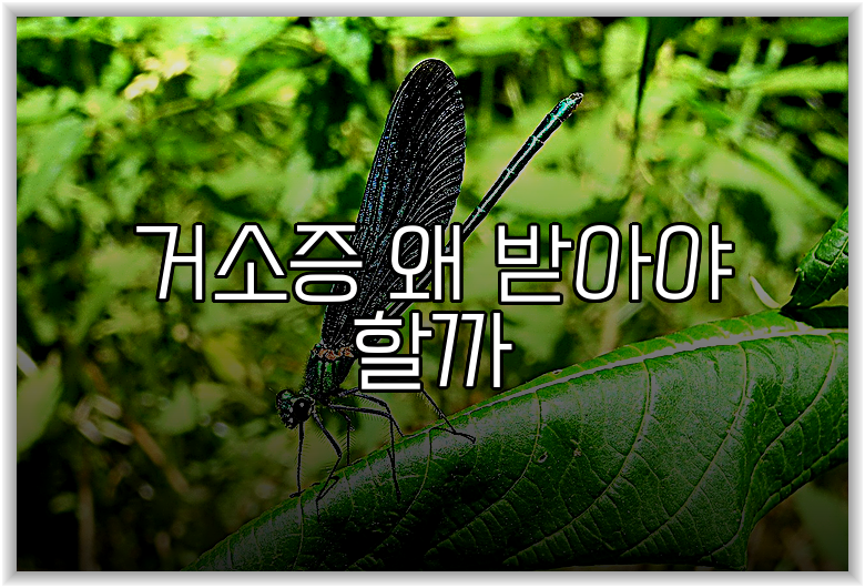 거소증 왜 받아야 할까