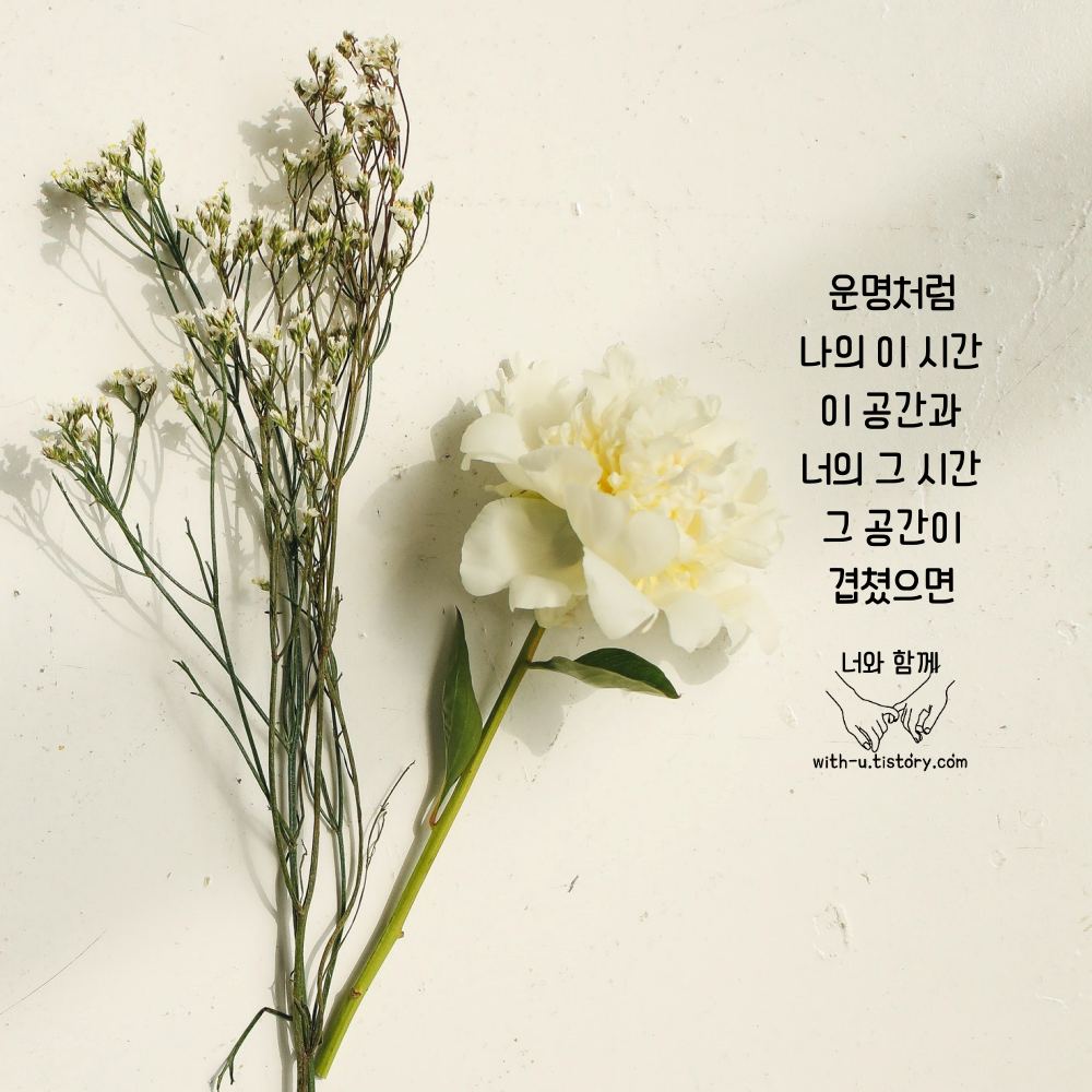  운명 명언 : 짧고 좋은 글귀 : 짧은 명언