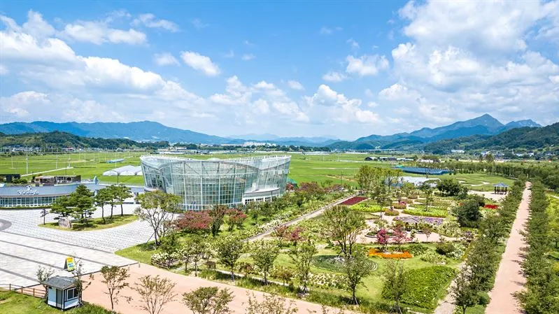 거창 창포원 노랑꽃창포 만개 시기와 관람 포인트_2