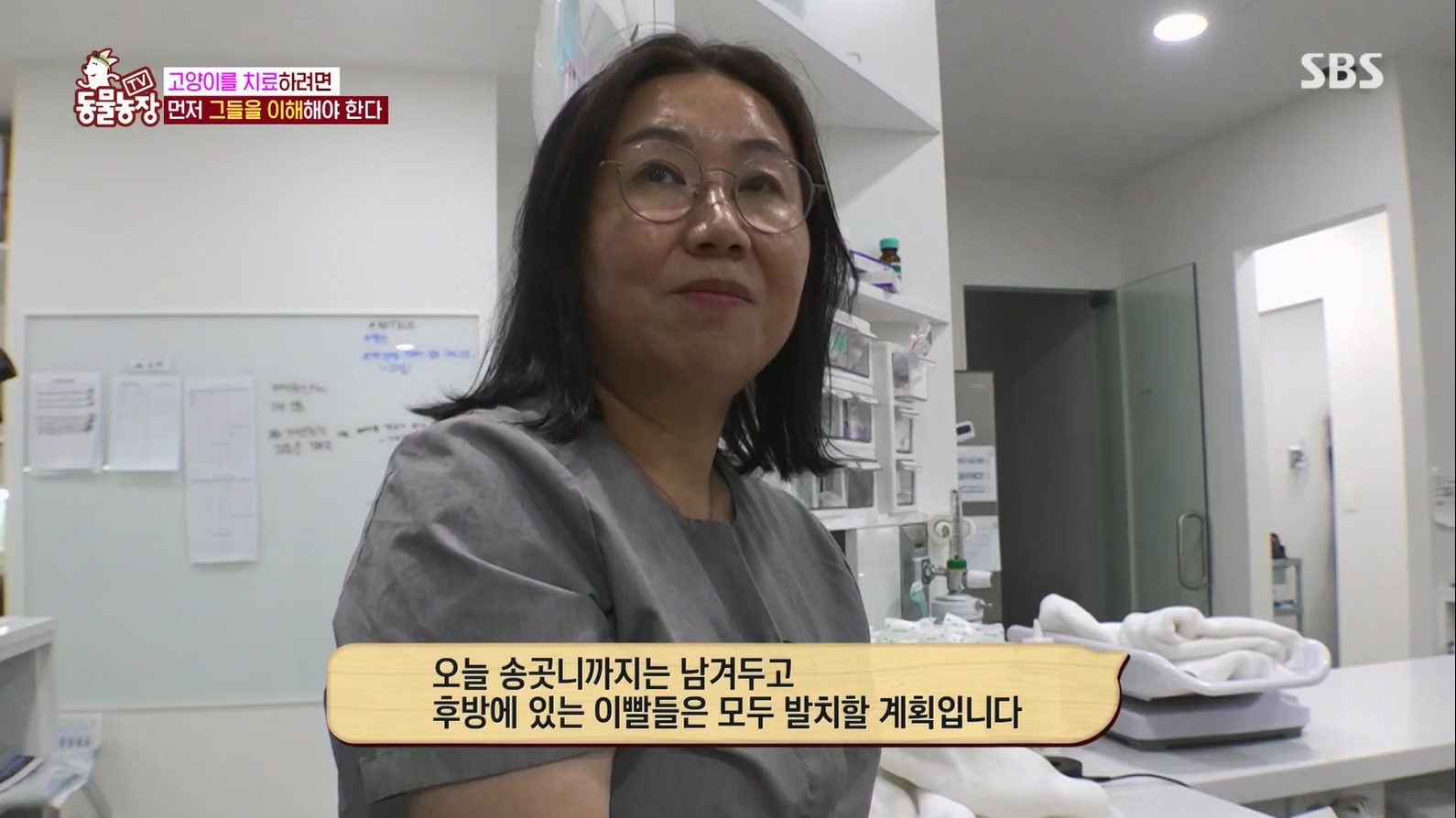 TV 동물농장.E1127.230702p.H264-F1RST.mp4_20230704_212714.968.jpg