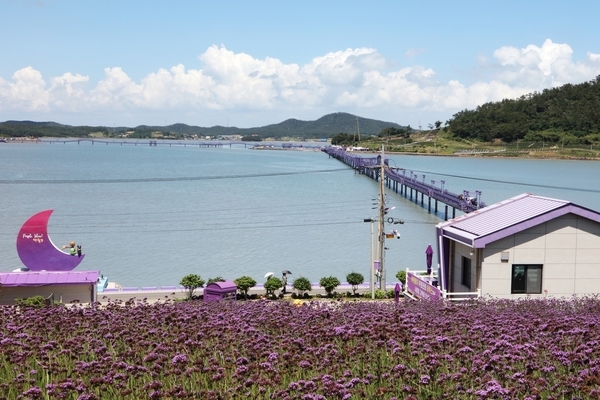 안좌면 퍼플섬