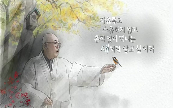 [3회] 자연의 철학자들 - KBS새처럼 살고 싶어라] 자연이라는 위대한 법당에서 숲의 울림, 새들의 소리를 들으며 깨달음을 얻은 도연 스님.ts_20220320_153512.837.jpg