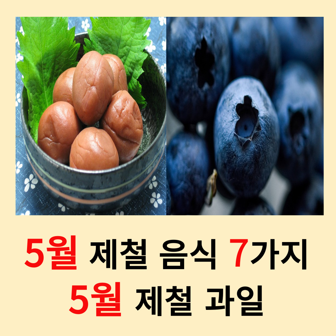 5월-제철-음식-과일