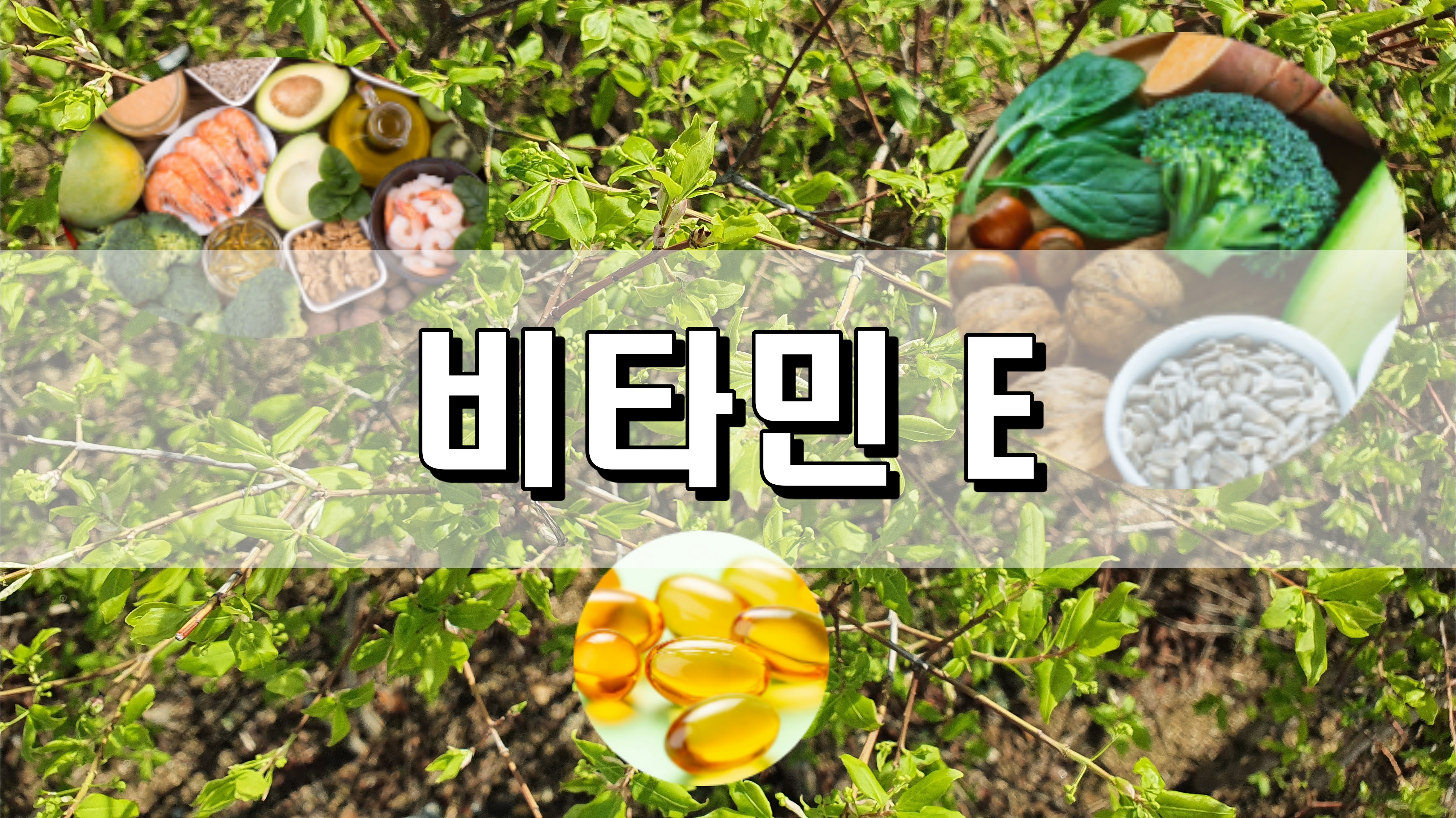  비타민 E 복용 - 효능과 결핍 증상
