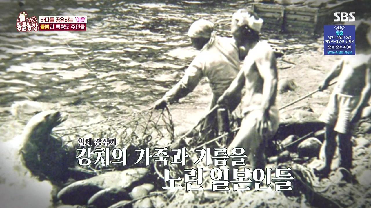 TV 동물농장.E1183.240805p-NEXT.mp4_20240804_154449.231.jpg
