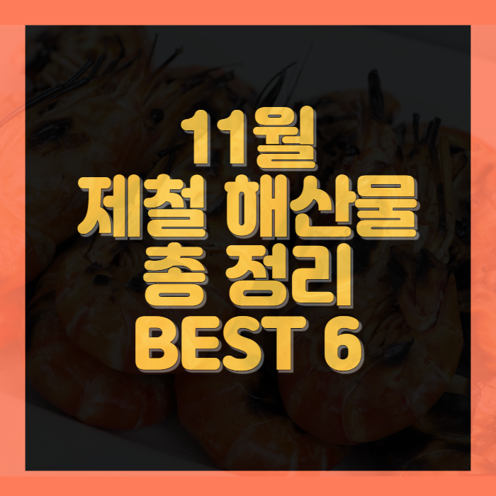 11월 제철 해산물 총 정리 BEST 6